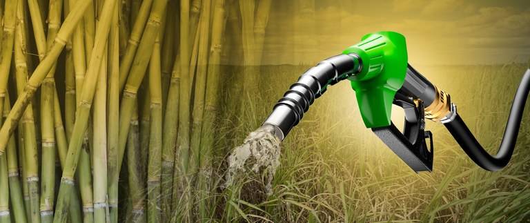 Equipamento de extração de petróleo